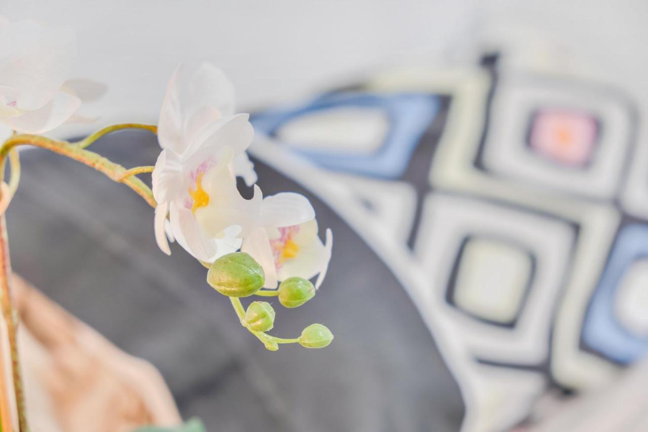 Santa Cruz Centro Wifi Tranvia 10 Apartment Ngoại thất bức ảnh